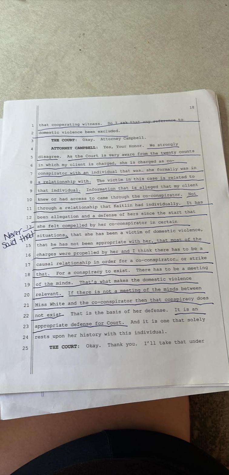 Transcript page 18 — Campbell argues domestic violence defense at Motion in Limine hearing; White annotates: never said that